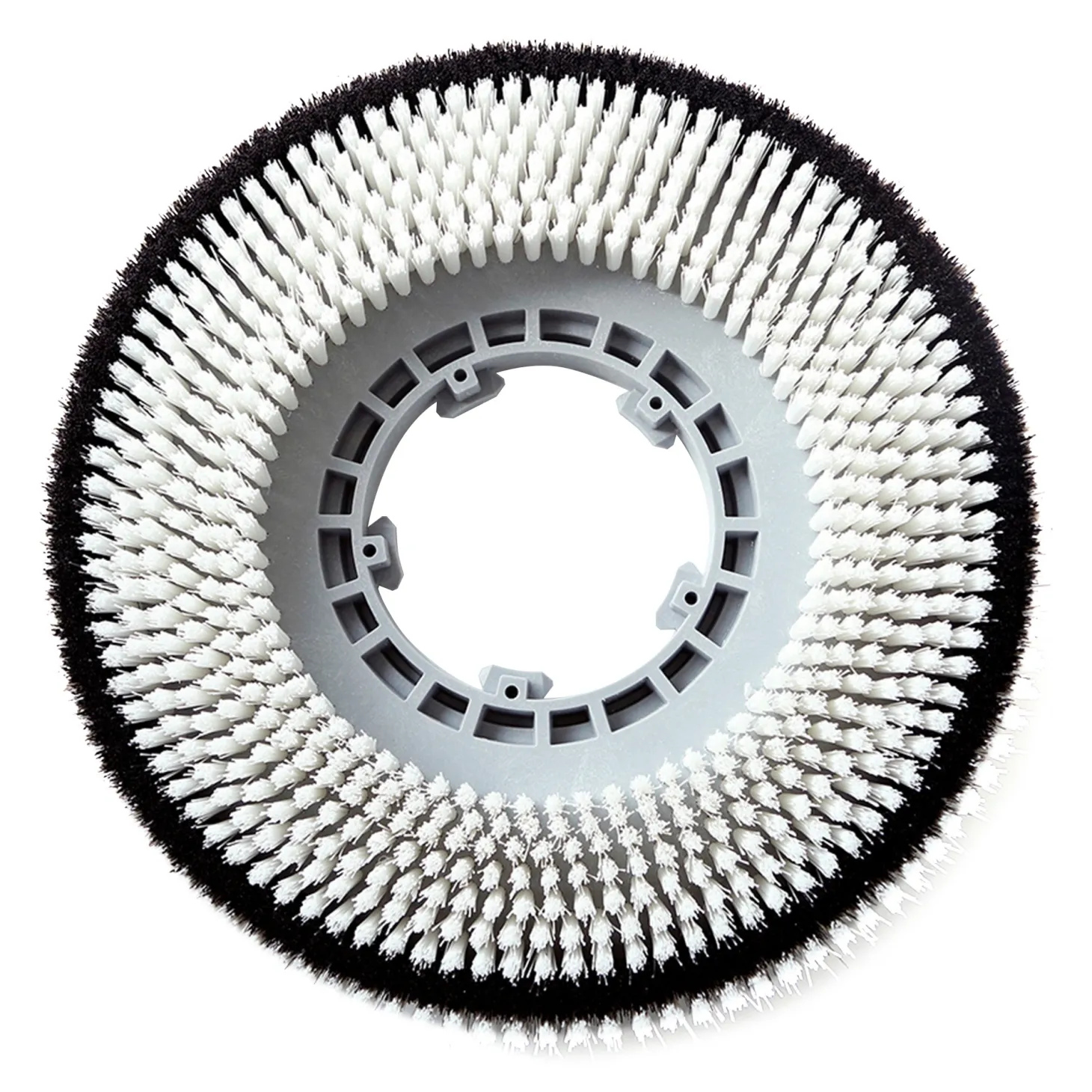 Columbus Schrubbbürste 17" für RA 43 B (Modelle nach 2018)