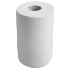 CWS BestPaper Papierhandtuchrollen, 2-lagig, hochweiß, 100 Meter