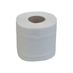 Katrin 169505 Basic Toilet 250 Toilettenpapier 2-lagig 250 Blatt weiß