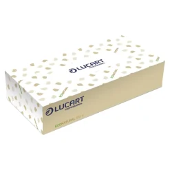 Lucart EcoNatural 100 V Kosmetiktücher in der Spenderbox 2-lagig, Recycling