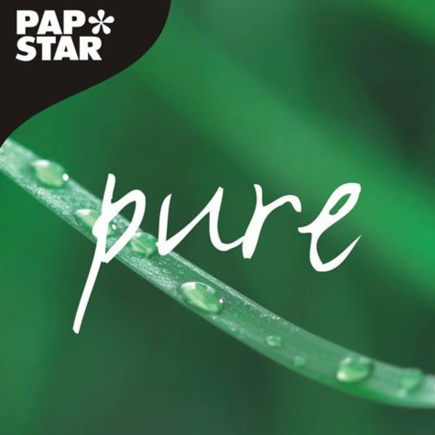 PAPSTAR Backformen "pure" 600 ml Ø 19,7 cm, 2,7 cm braun