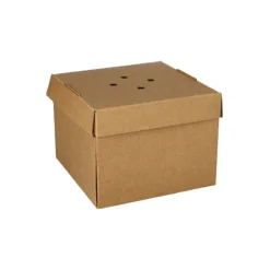 PAPSTAR Burgerboxen, Pappe 