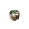 PAPSTAR Fingerfood - Schalen, Bambus "pure" rund 55 ml Ø 7,5 cm, 3 cm, 12 x 12 Stück