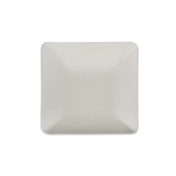 PAPSTAR Fingerfood - Teller, Zuckerrohr "pure" eckig 1,2 cm x 6,5 cm x 6,5 cm weiß, 15 x 12 Stück