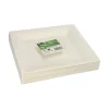 PAPSTAR Fingerfood - Teller, Zuckerrohr "pure" eckig 1,5 cm x 20,3 cm x 20,3 cm weiß