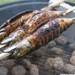 PAPSTAR Grill-Spieße "pure" 80 cm x 8 mm x 8 mm "Steckerlfisch"