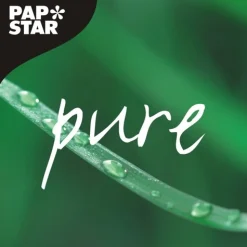 PAPSTAR Schaschlikspieße, Bambus "pure" Ø 2,5 mm, 15 cm