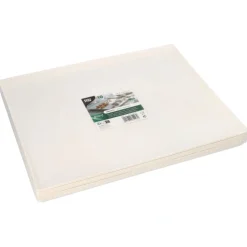 PAPSTAR Servierplatten, Zuckerrohr 