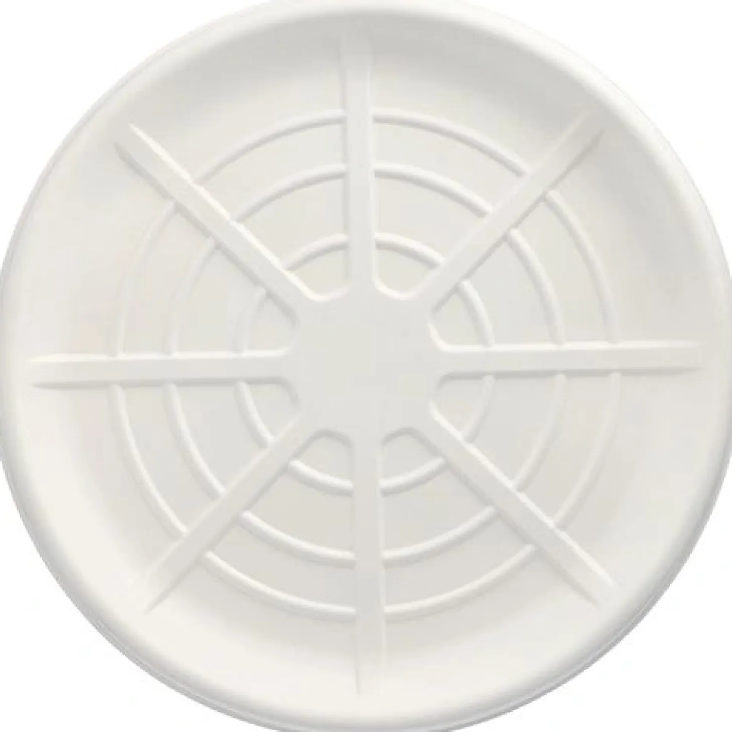 PAPSTAR Servierplatten, Zuckerrohr "pure" rund Ø 47 cm weiß für Meeresfrüchte