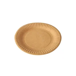 PAPSTAR Teller, Pappe "pure" rund Ø 15 cm braun, 20 x 100 Stück