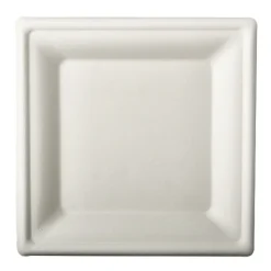 PAPSTAR Teller, Zuckerrohr "pure" eckig 20 cm x 20 cm weiß, 100 Stück