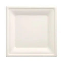 PAPSTAR Teller, Zuckerrohr "pure" eckig 20 cm x 20 cm weiß, 12 x 12 Stück