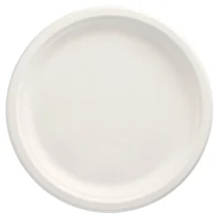 PAPSTAR Teller, Zuckerrohr "pure" ungeteilt Ø 26 cm, 2 cm weiß, 12 x 12 Stück