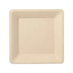 PAPSTAR Teller, Zuckerrohr "pure" eckig 15,5 cm x 15,5 cm natur