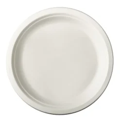 PAPSTAR Teller, Zuckerrohr "pure" ungeteilt Ø 23 cm, 2 cm weiß, 100 Stück