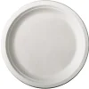 PAPSTAR Teller, Zuckerrohr "pure" ungeteilt Ø 26 cm, 2 cm weiß, 100 Stück