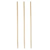 PAPSTAR Trinkhalme, Stroh "pure" Ø 4 mm, 20 cm
