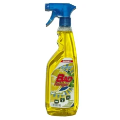 Reinex Badreiniger mit Sprühpistole