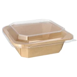Starpak Lunchboxen, Pappe eckig 1000 ml 5,2 cm x 18 cm x 18 cm braun