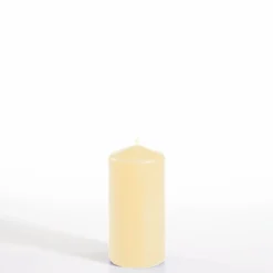 Starpak Stumpenkerze Ø 50 mm, 100 mm creme