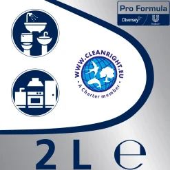 Viss Professional Scheuermilch Citrus